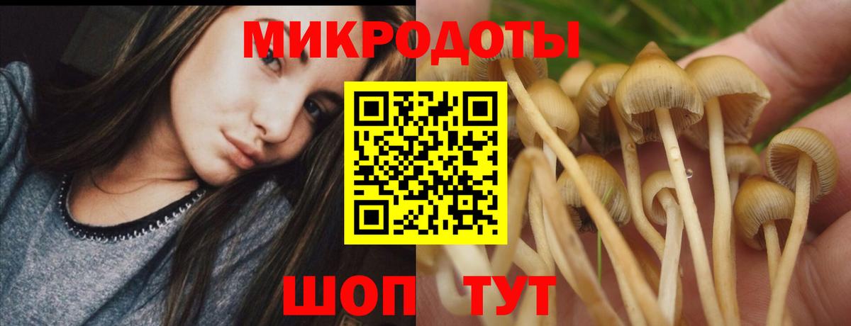 Галлюциногенные грибы MAGIC MUSHROOMS Усть-Джегута